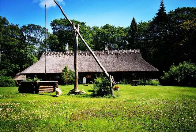 Гостевой дом Kotka Farm Saareküla-3